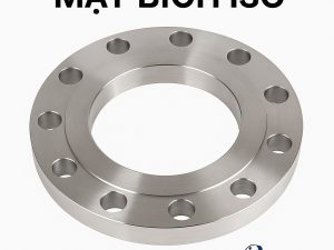 mặt bích iso