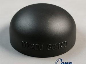 Đầu bịt ống thép DN200