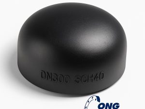 Đầu bịt ống thép DN300