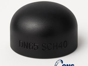 Đầu bịt ống thép DN65