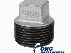 Đầu bịt thép DN20