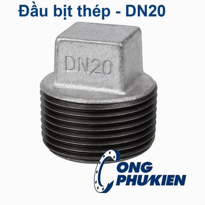 Đầu bịt thép DN20