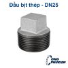 Đầu bịt thép DN25