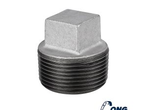Đầu bịt thép DN25