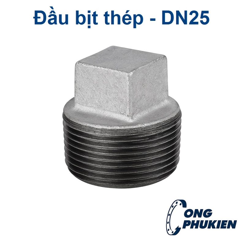 Đầu bịt thép DN25
