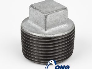 Đầu bịt thép DN40