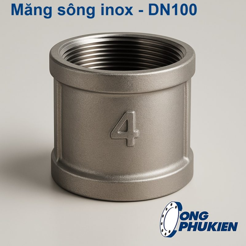 Măng sông inox DN100