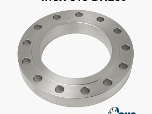 mặt bích inox 316 DN200