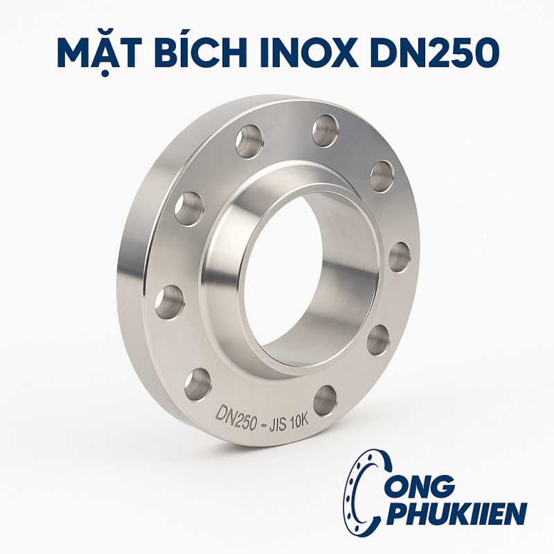 Mặt bích inox DN250