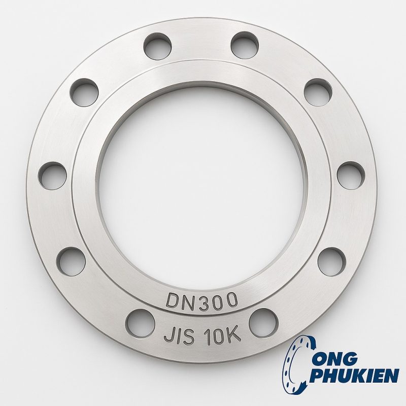 mặt bích inox DN300