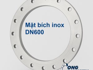 Mặt bích inox DN600