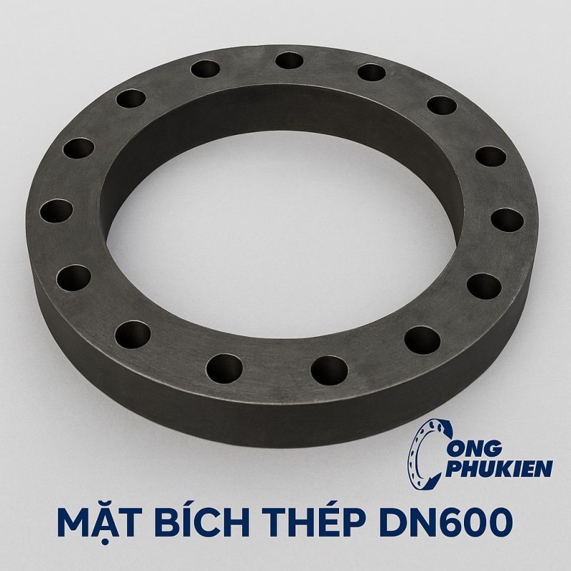Mặt bích thép DN600