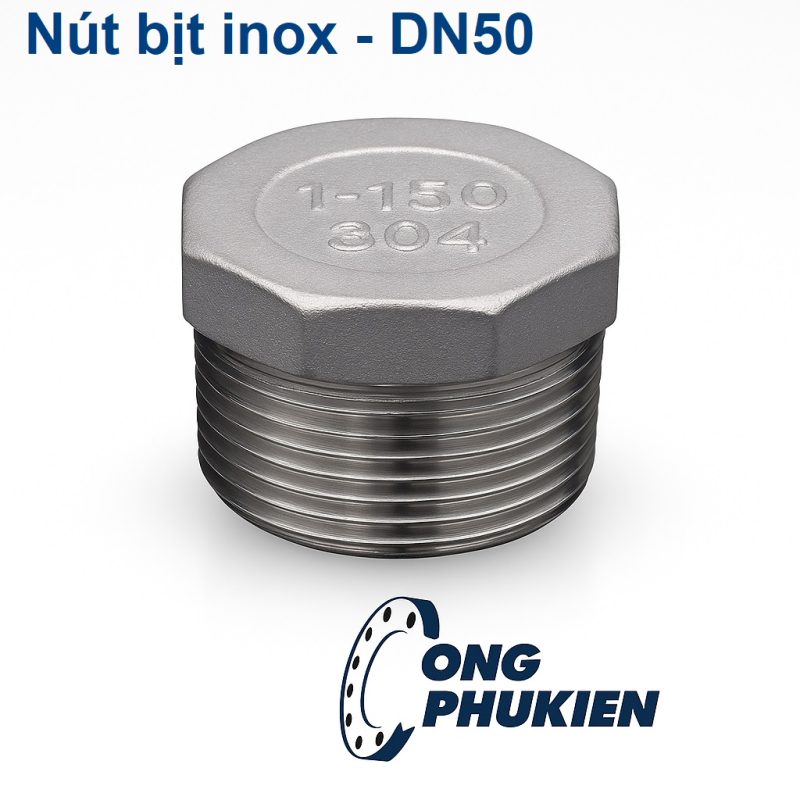 Nút bịt inox DN50