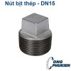 Nút bịt thép DN15