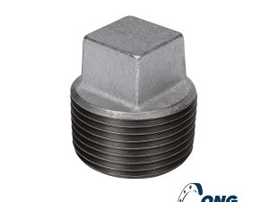 Nút bịt thép DN15
